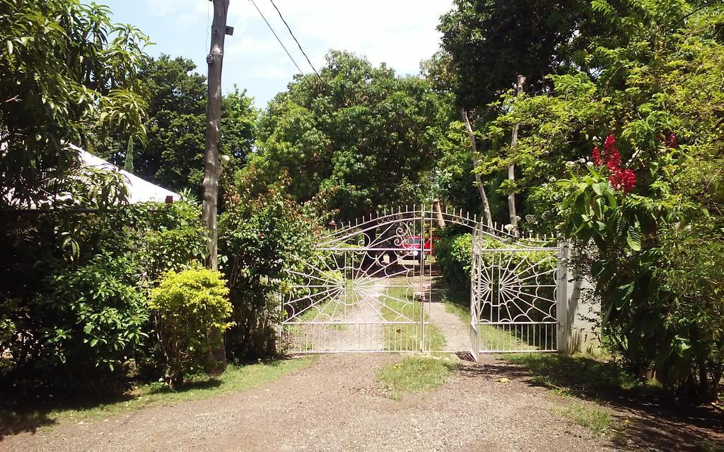 Shades Cottage Guesthouse Blue Hole Exterior foto