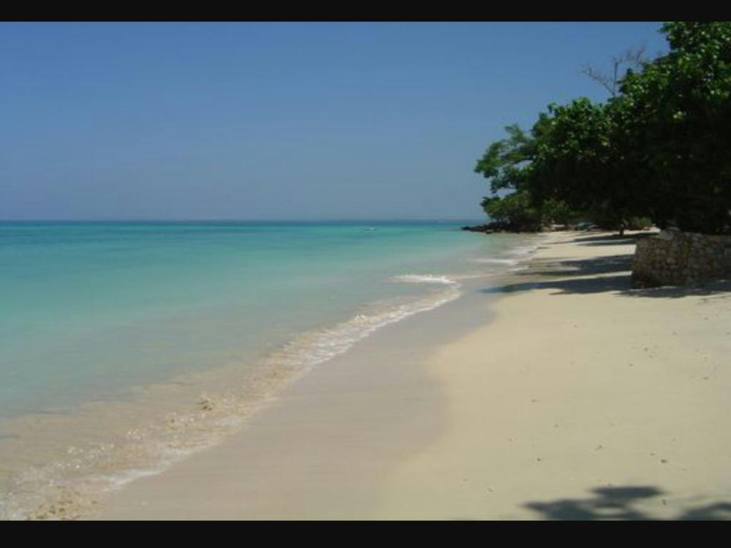 Shades Cottage Guesthouse Blue Hole Exterior foto