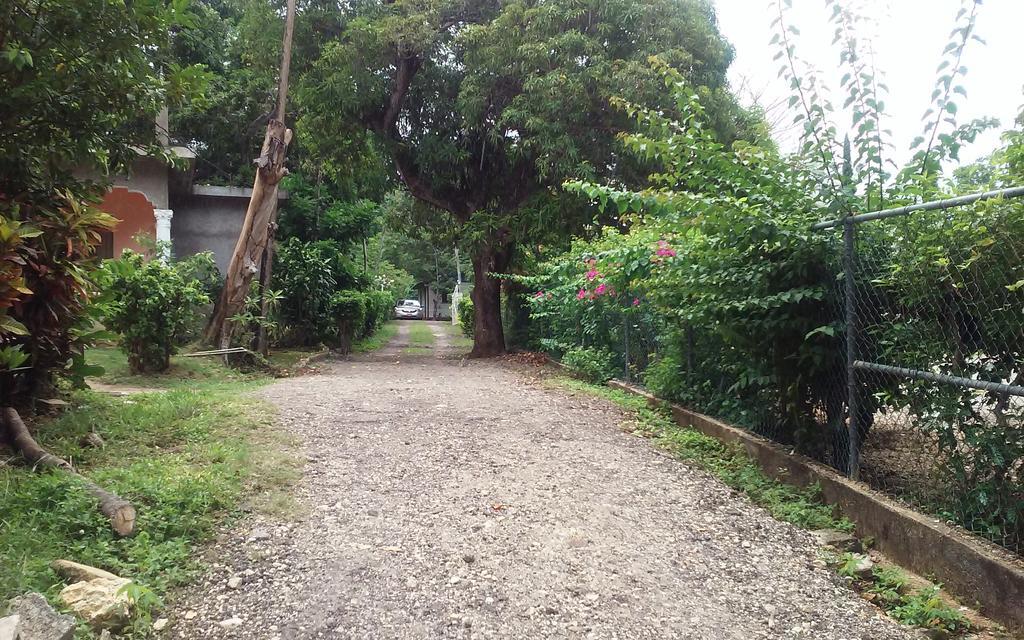 Shades Cottage Guesthouse Blue Hole Exterior foto
