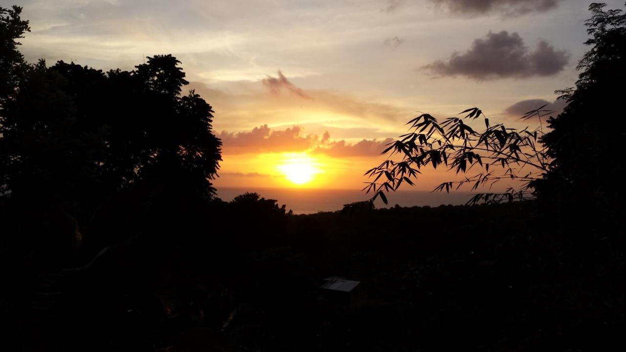 Shades Cottage Guesthouse Blue Hole Exterior foto