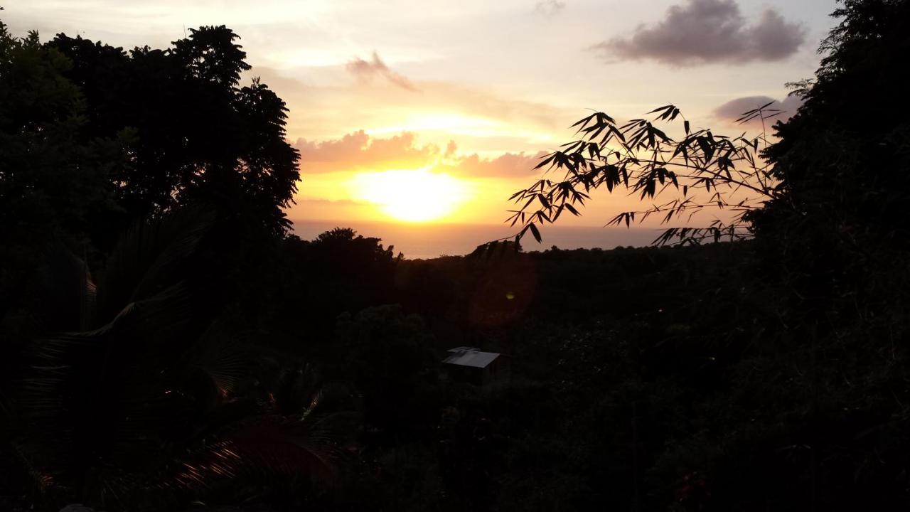 Shades Cottage Guesthouse Blue Hole Exterior foto